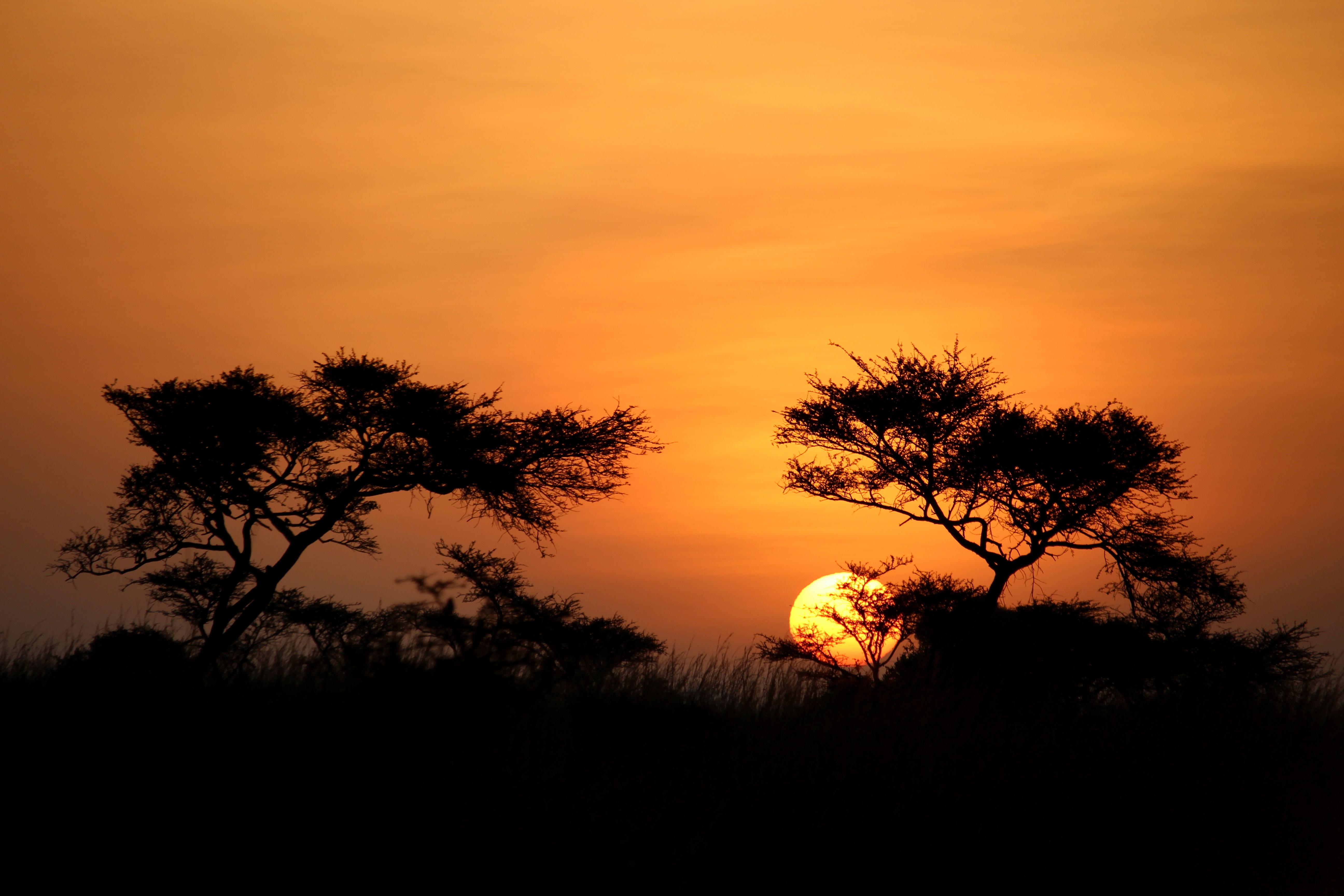 Nairobi Sunrise 